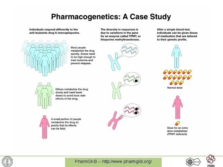 Pharm. GKB -- http: //www. pharmgkb. org/ 