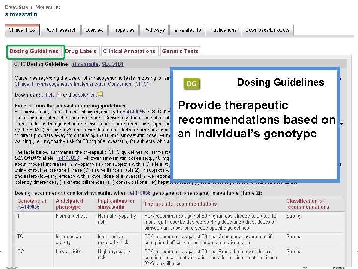 Dosing Guidelines Provide therapeutic recommendations based on an individual’s genotype 