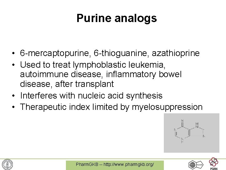 Purine analogs • 6 -mercaptopurine, 6 -thioguanine, azathioprine • Used to treat lymphoblastic leukemia,