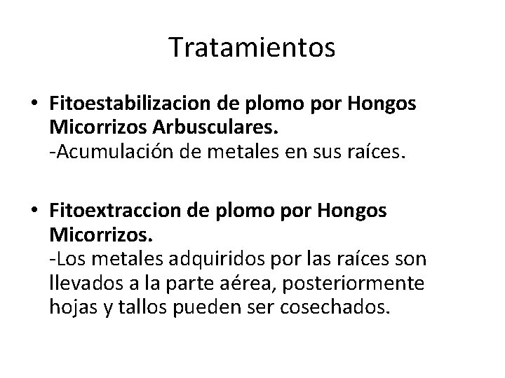 Tratamientos • Fitoestabilizacion de plomo por Hongos Micorrizos Arbusculares. -Acumulación de metales en sus