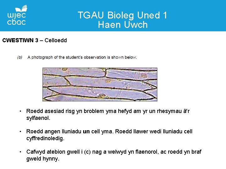 TGAU Bioleg Uned 1 Haen Uwch Manylion CWESTIWN 3 –Cyswllt Celloedd Liane Adams Swyddog