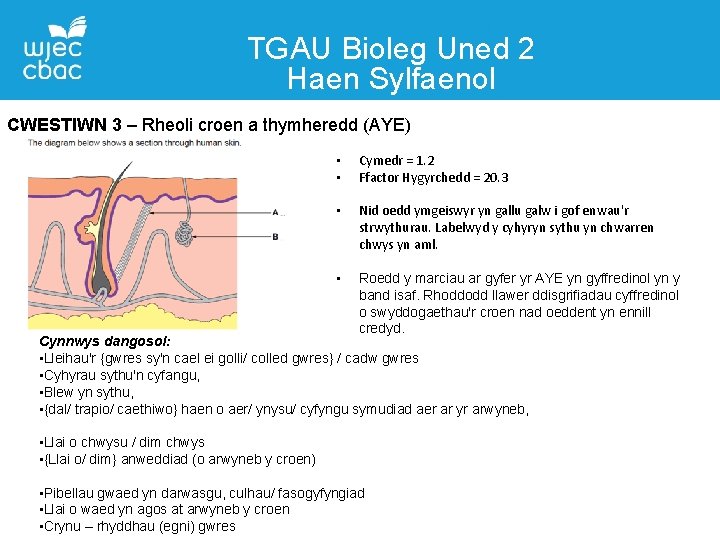 TGAU Bioleg Uned 2 Haen Sylfaenol CWESTIWN 3 – Rheoli croen a thymheredd (AYE)