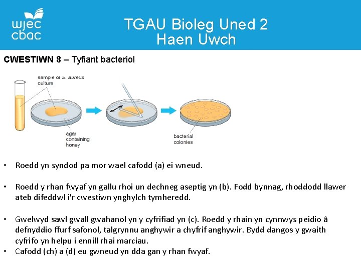 TGAU Bioleg Uned 2 Haen Uwch CWESTIWN 8 – Tyfiant bacteriol • Roedd yn