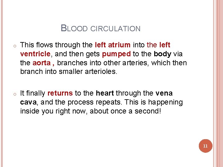 BLOOD CIRCULATION o This flows through the left atrium into the left ventricle, and
