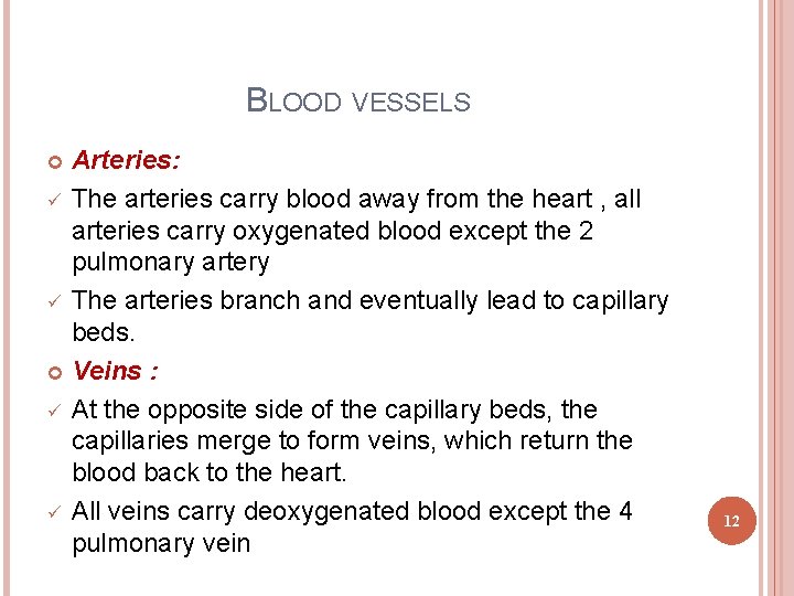 BLOOD VESSELS Arteries: ü The arteries carry blood away from the heart , all