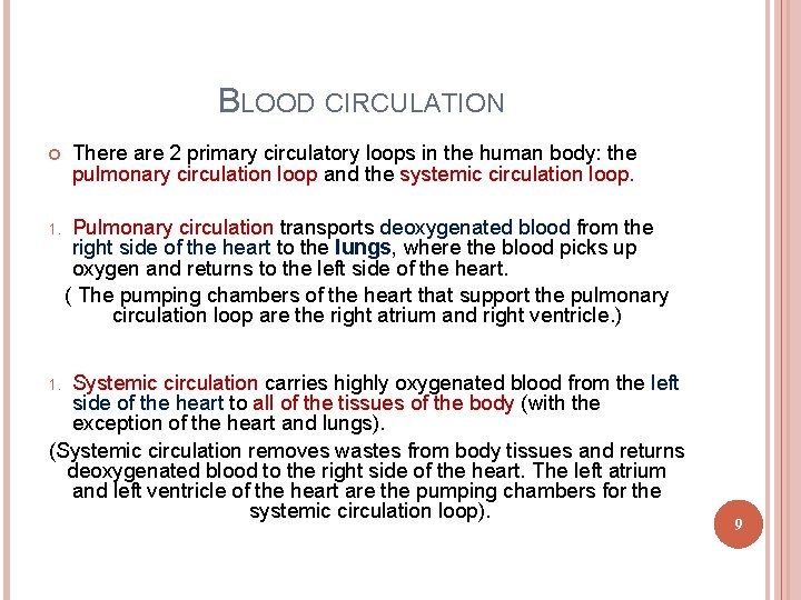 BLOOD CIRCULATION 1. There are 2 primary circulatory loops in the human body: the