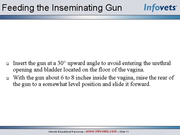 Feeding the Inseminating Gun Insert the gun at a 30° upward angle to avoid