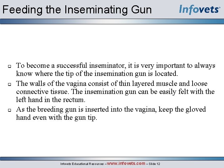 Feeding the Inseminating Gun To become a successful inseminator, it is very important to