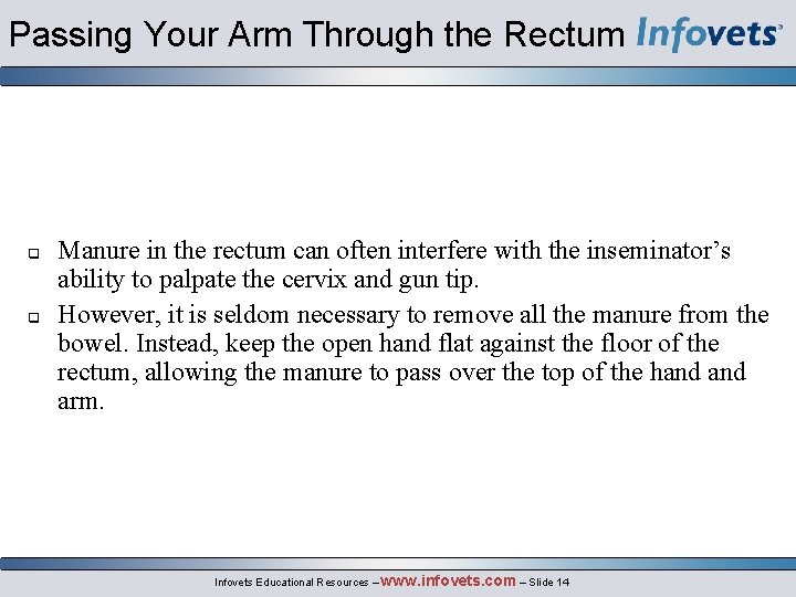 Passing Your Arm Through the Rectum Manure in the rectum can often interfere with