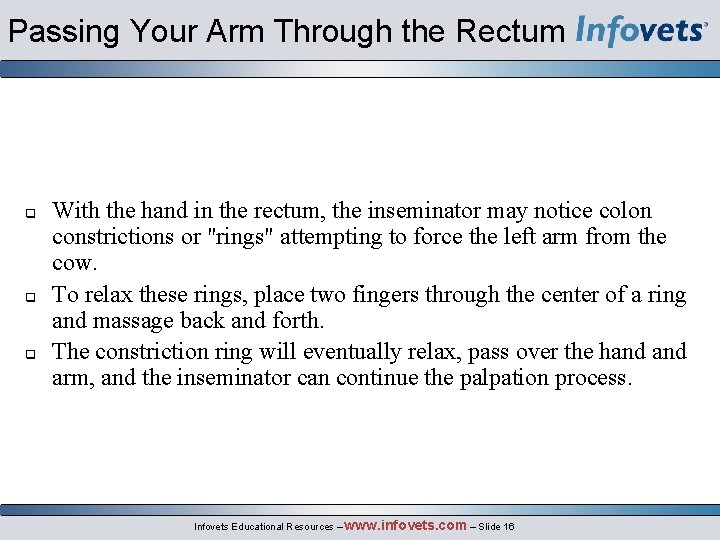 Passing Your Arm Through the Rectum With the hand in the rectum, the inseminator