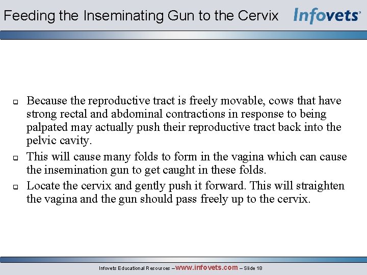 Feeding the Inseminating Gun to the Cervix Because the reproductive tract is freely movable,