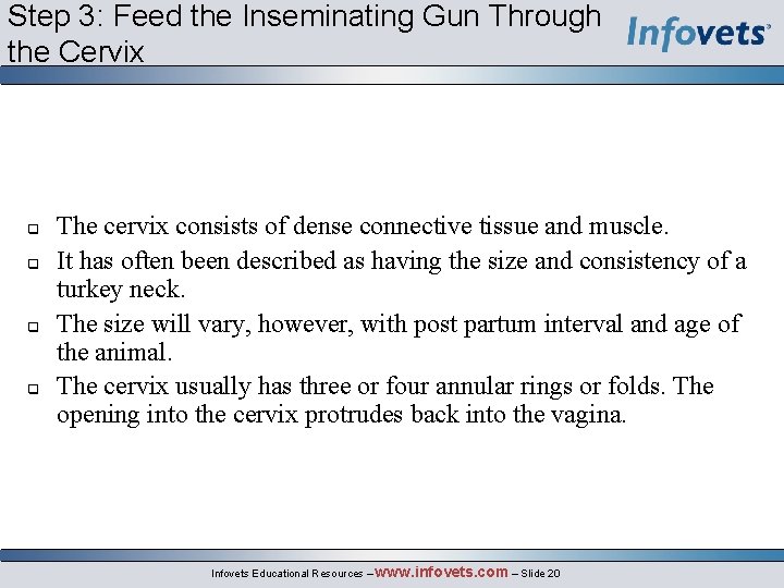 Step 3: Feed the Inseminating Gun Through the Cervix The cervix consists of dense