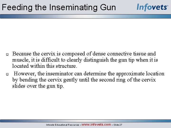 Feeding the Inseminating Gun Because the cervix is composed of dense connective tissue and