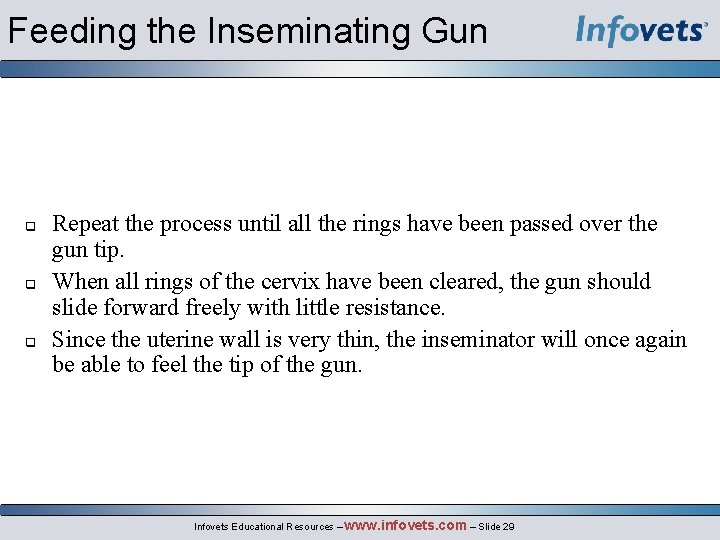 Feeding the Inseminating Gun Repeat the process until all the rings have been passed