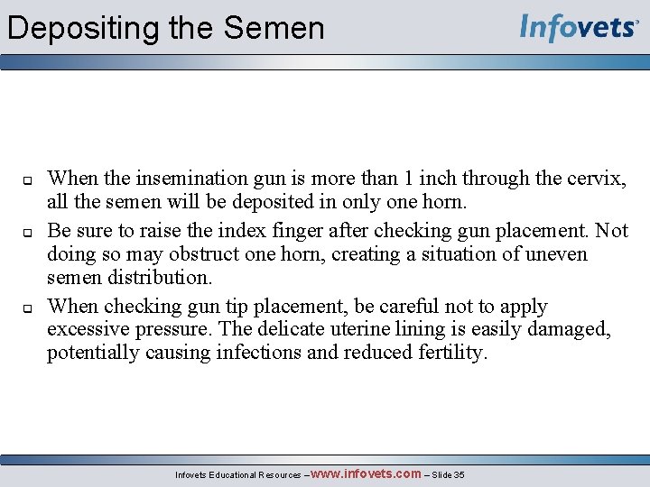 Depositing the Semen When the insemination gun is more than 1 inch through the