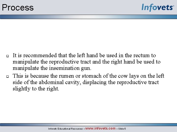 Process It is recommended that the left hand be used in the rectum to