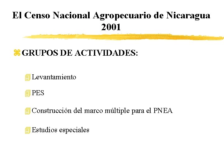 El Censo Nacional Agropecuario de Nicaragua 2001 z GRUPOS DE ACTIVIDADES: 4 Levantamiento 4
