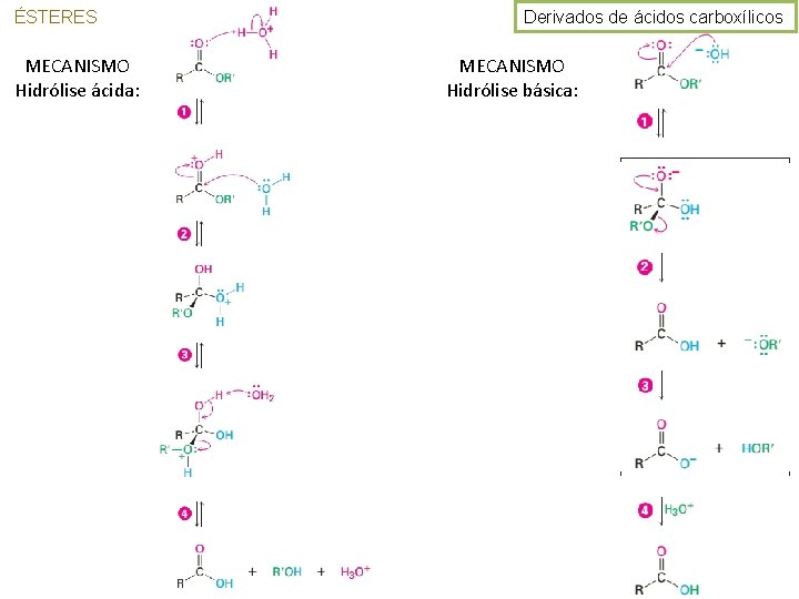 ÉSTERES MECANISMO Hidrólise ácida: Derivados de ácidos carboxílicos MECANISMO Hidrólise básica: 