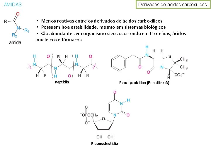 Derivados de ácidos carboxílicos AMIDAS • Menos reativas entre os derivados de ácidos carboxílicos