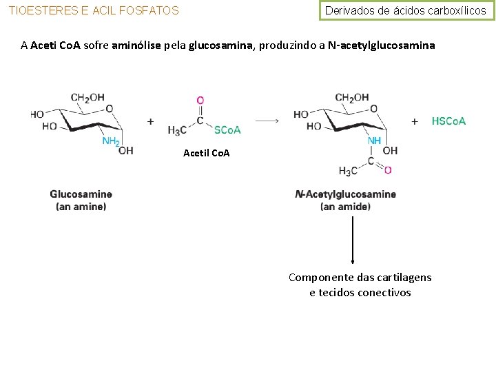 Derivados de ácidos carboxílicos TIOESTERES E ACIL FOSFATOS A Aceti Co. A sofre aminólise