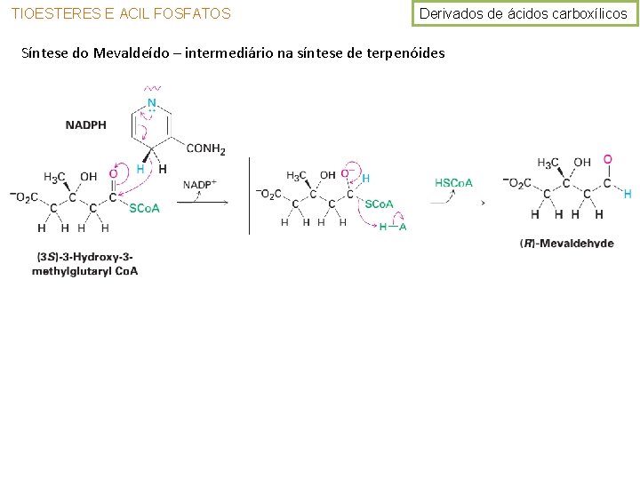 TIOESTERES E ACIL FOSFATOS Derivados de ácidos carboxílicos Síntese do Mevaldeído – intermediário na