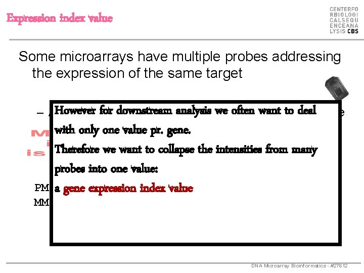 Expression index value Some microarrays have multiple probes addressing the expression of the same