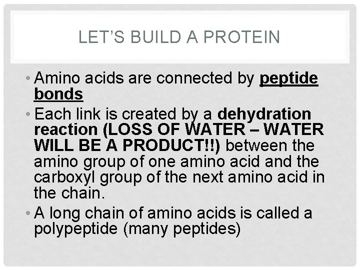 LET’S BUILD A PROTEIN • Amino acids are connected by peptide bonds • Each LET’S BUILD A PROTEIN • Amino acids are connected by peptide bonds • Each
