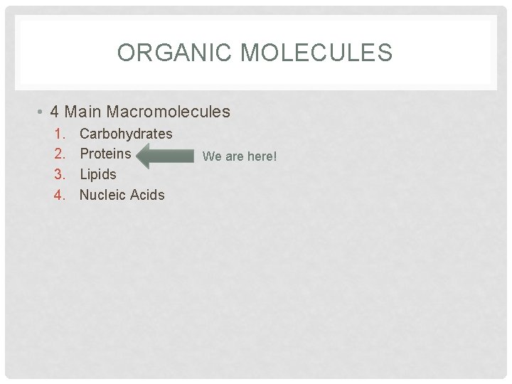 ORGANIC MOLECULES • 4 Main Macromolecules 1. 2. 3. 4. Carbohydrates Proteins Lipids Nucleic ORGANIC MOLECULES • 4 Main Macromolecules 1. 2. 3. 4. Carbohydrates Proteins Lipids Nucleic