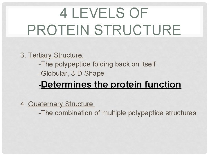 4 LEVELS OF PROTEIN STRUCTURE 3. Tertiary Structure: -The polypeptide folding back on itself 4 LEVELS OF PROTEIN STRUCTURE 3. Tertiary Structure: -The polypeptide folding back on itself