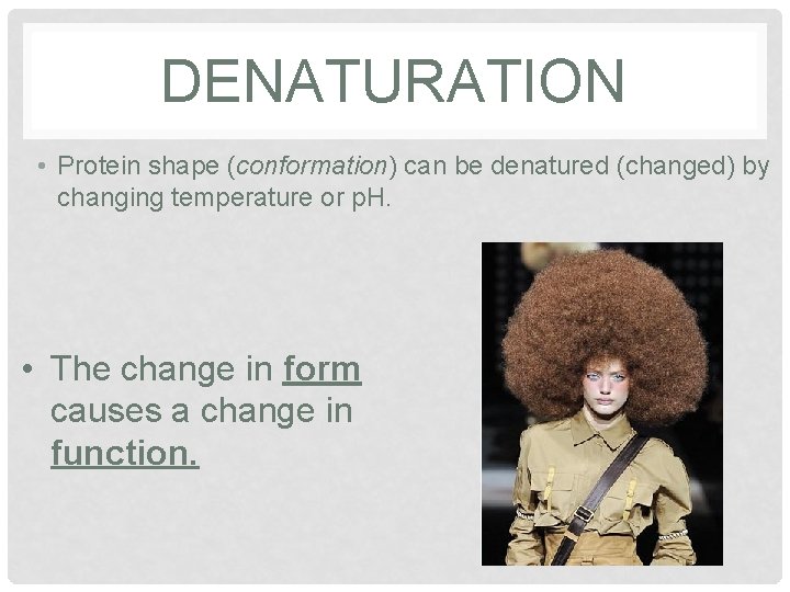 DENATURATION • Protein shape (conformation) can be denatured (changed) by changing temperature or p. DENATURATION • Protein shape (conformation) can be denatured (changed) by changing temperature or p.