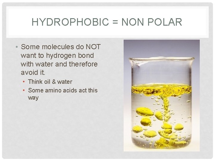 HYDROPHOBIC = NON POLAR • Some molecules do NOT want to hydrogen bond with HYDROPHOBIC = NON POLAR • Some molecules do NOT want to hydrogen bond with