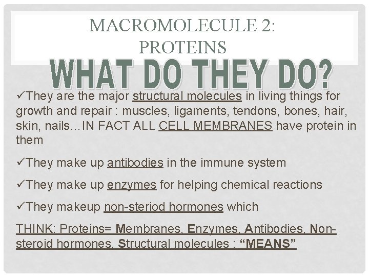 MACROMOLECULE 2: PROTEINS üThey are the major structural molecules in living things for growth MACROMOLECULE 2: PROTEINS üThey are the major structural molecules in living things for growth