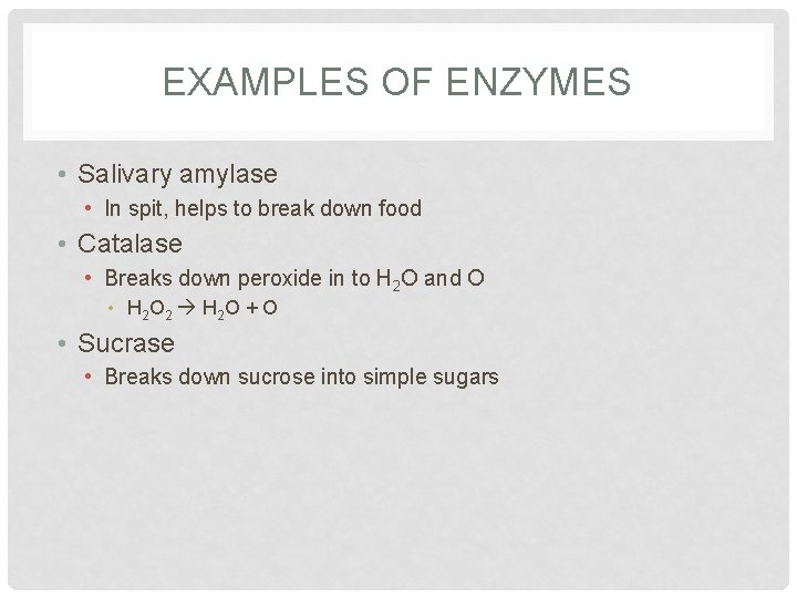 EXAMPLES OF ENZYMES • Salivary amylase • In spit, helps to break down food EXAMPLES OF ENZYMES • Salivary amylase • In spit, helps to break down food