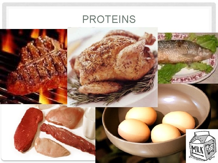 PROTEINS PROTEINS