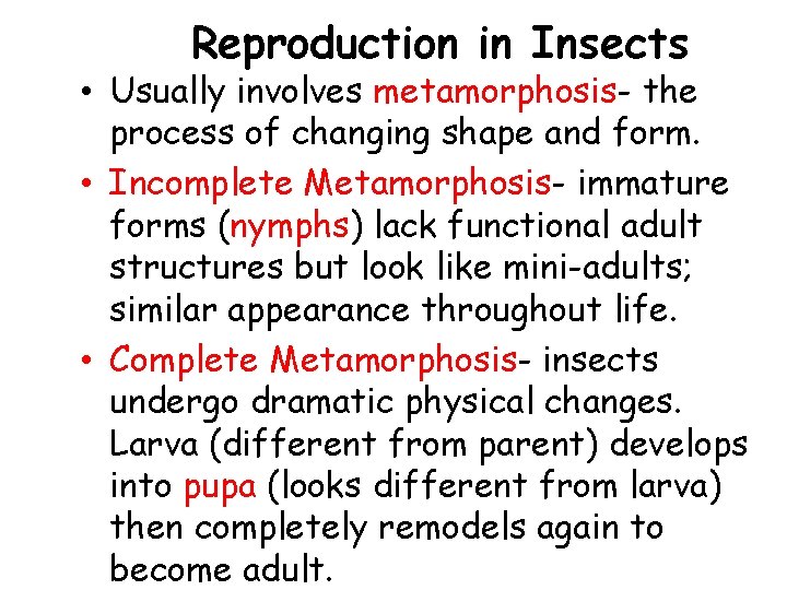 Reproduction in Insects • Usually involves metamorphosis- the process of changing shape and form.