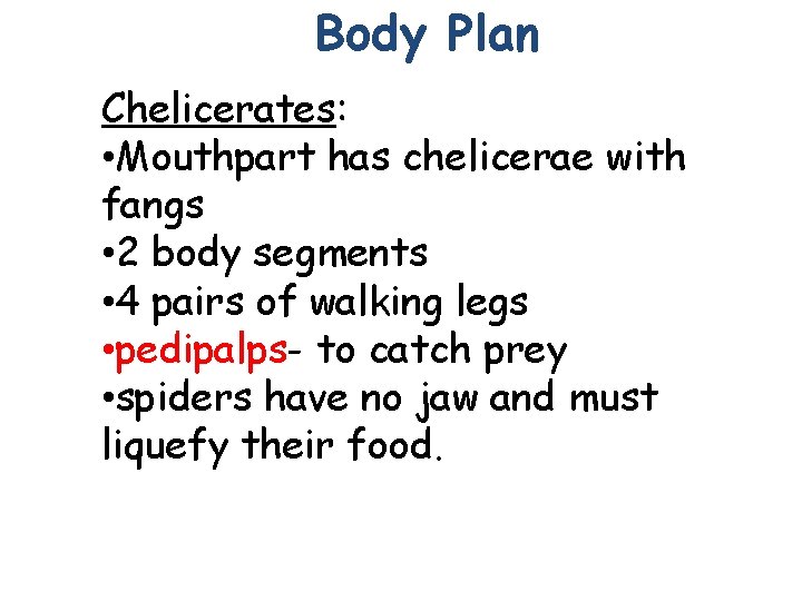 Body Plan Chelicerates: • Mouthpart has chelicerae with fangs • 2 body segments •