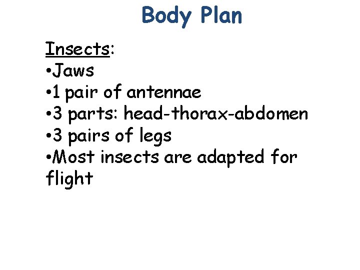 Body Plan Insects: • Jaws • 1 pair of antennae • 3 parts: head-thorax-abdomen