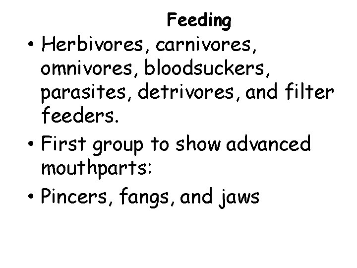 Feeding • Herbivores, carnivores, omnivores, bloodsuckers, parasites, detrivores, and filter feeders. • First group