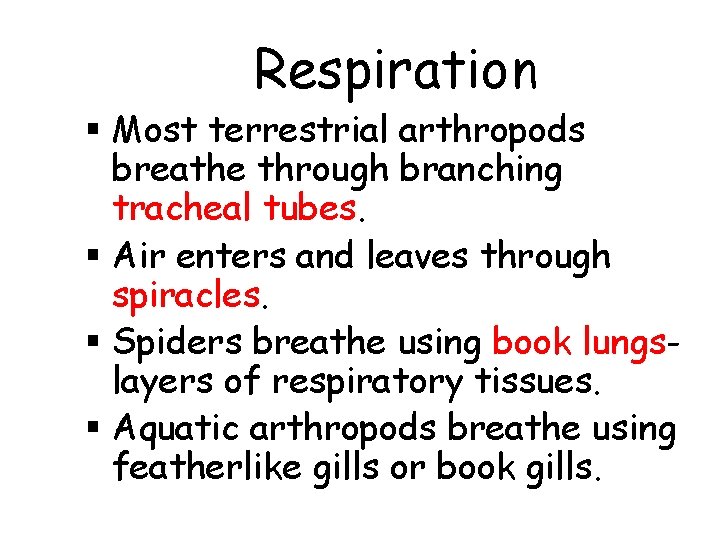 Respiration § Most terrestrial arthropods breathe through branching tracheal tubes. § Air enters and