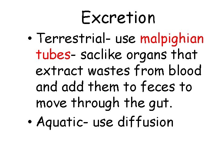 Excretion • Terrestrial- use malpighian tubes- saclike organs that extract wastes from blood and