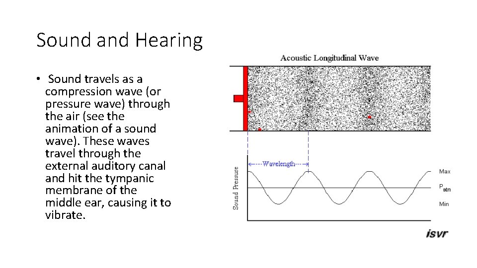 Sound and Hearing • Sound travels as a compression wave (or pressure wave) through