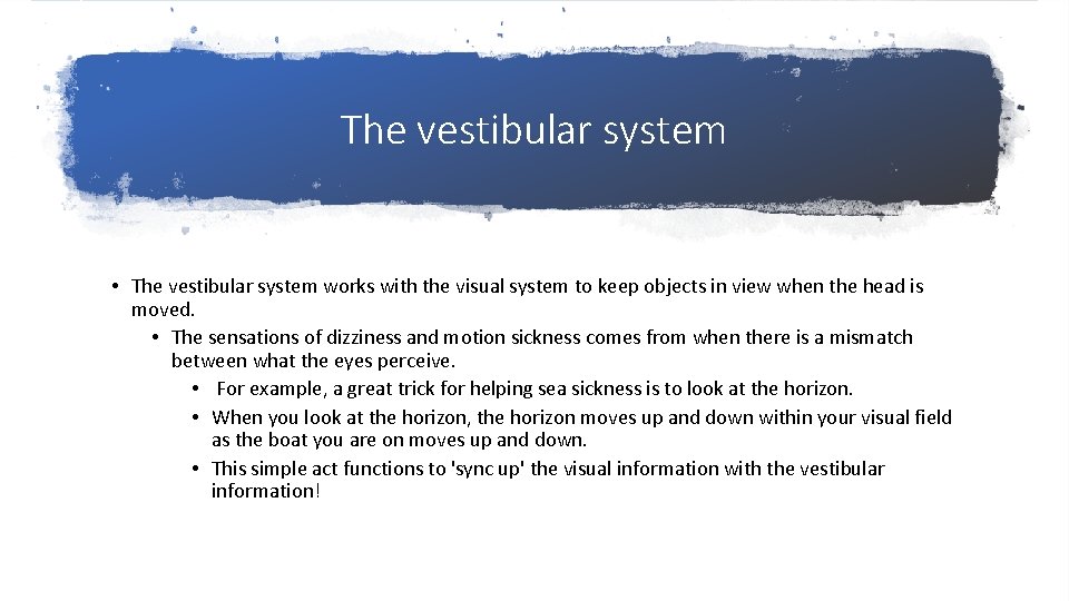 The vestibular system • The vestibular system works with the visual system to keep