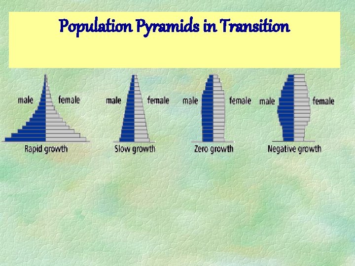 Population Pyramids in Transition  Population Pyramids in Transition