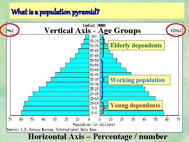 What is a population pyramid? Vertical Axis - Age Groups Elderly dependents Working population What is a population pyramid? Vertical Axis - Age Groups Elderly dependents Working population
