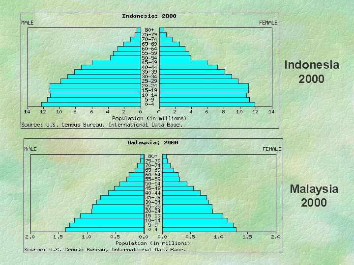 Indonesia 2000 Malaysia 2000  Indonesia 2000 Malaysia 2000