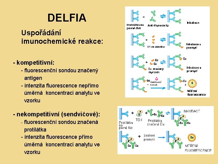 DELFIA Uspořádání imunochemické reakce: - kompetitivní: - fluorescenční sondou značený antigen - intenzita fluorescence