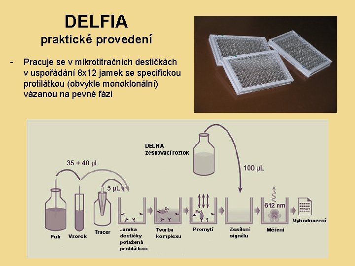 DELFIA praktické provedení - Pracuje se v mikrotitračních destičkách v uspořádání 8 x 12