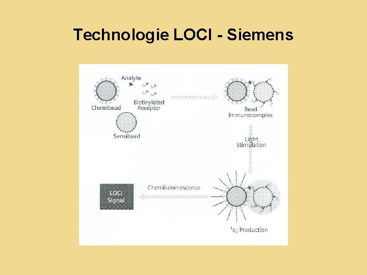 Technologie LOCI - Siemens 