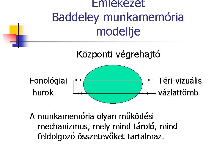 Emlékezet Baddeley munkamemória modellje Központi végrehajtó Fonológiai hurok Téri-vizuális vázlattömb A munkamemória olyan működési