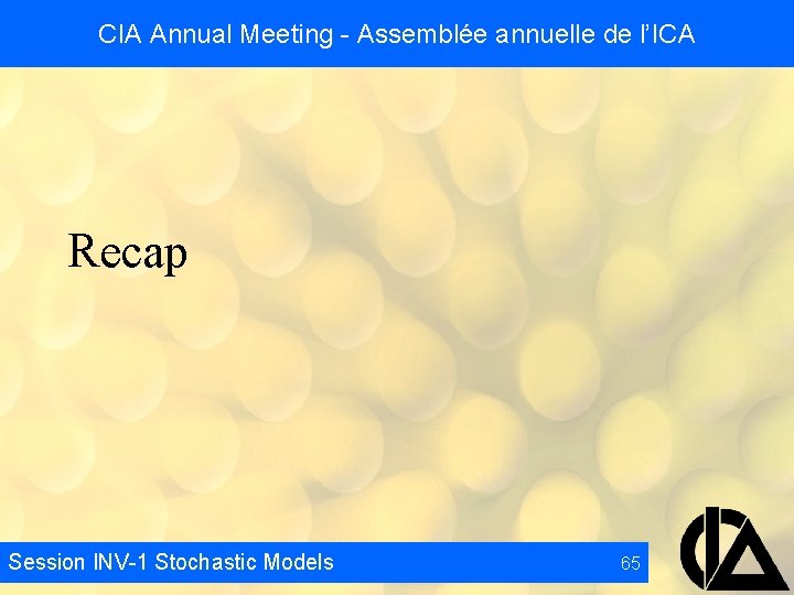 CIA Annual Meeting - Assemblée annuelle de l’ICA Recap Session INV-1 Stochastic Models 65